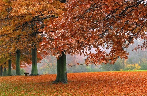 Brookfield House | Get Some Rest in Wisconsin State Fair Park! Indoor Swimming Pool, Pets Allowed!