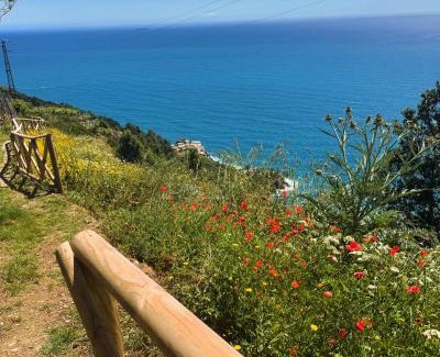 Volastra House | Giglio