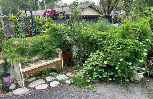 Laurel Apartment | Gingerbird Art Suite