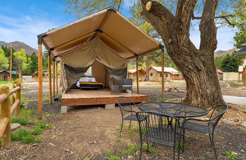 Poudre Park House | Glamp 10- Golden Eagle