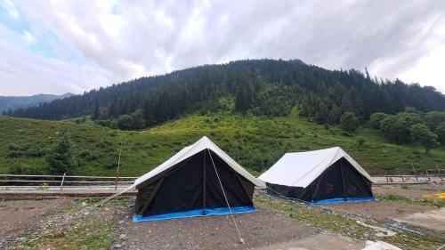 Sonamarg Other | Glamping by Stay Pattern