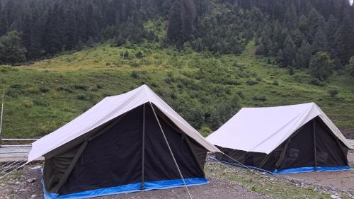 Sonamarg Other | Glamping by Stay Pattern