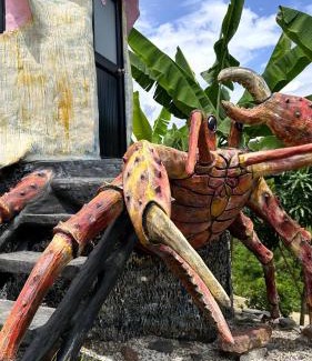 La Mesa Cabin | GLAMPING CARACOL-MUSEO DE MARAVILLAS DE LA VIDA MARINA, Basado en la vida del Mar
