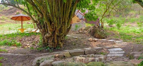 Bogota House | Glamping Corazón del Molino