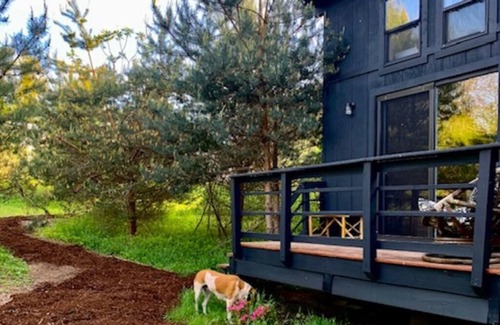Rolling Prairie Cabin | Glamping experience on an organic farm in Harbor Country.