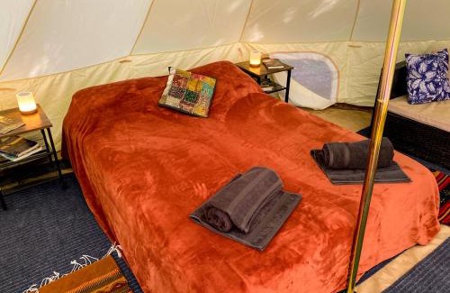 Garberville Other | Glamping in the Redwoods