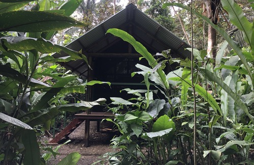 Puerto Jimenez Cabin | Glamping Tent in the jungle by the river. Unique stay in nature.