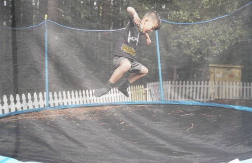 Gilroy House | Glamping Tipi in the Redwood Forest