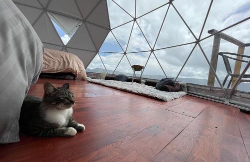 Guatavita Ski Chalet | Glamping Wayra