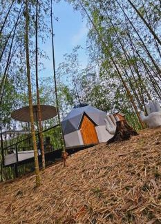 Guadalajara de Buga Other | Glamping y Cabañas Alpina
