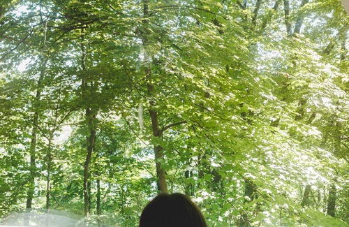 Kipling RV Rental | Glamplyfe Nature Experience: A-Frames on Lakefront L15