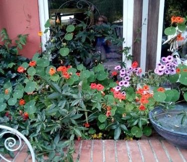 Fosdinovo Bed & Breakfast | Gli Ulivi Bed & breakfast