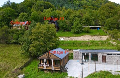 Racha-Lechkhumi and Lower Svaneti House | Glola LakeFront
