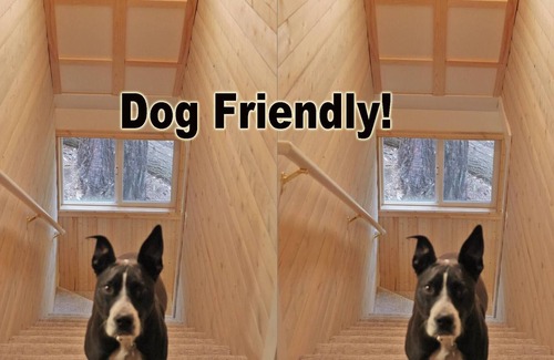 Camp Connell Cabin | Glorious Summer At Cabin On The Creek