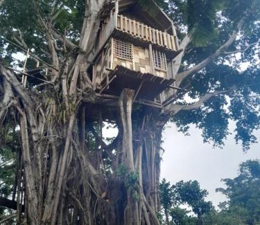 Tanna Island Apartment | Glowing Mountain view tree house