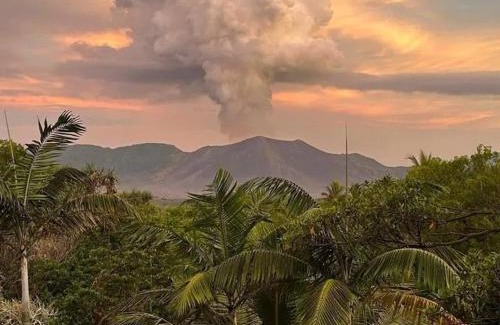 Tanna Island Apartment | Glowing Mountain view tree house