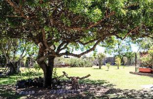 St. Helena Bay House | Goblin's Creek