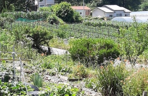 Goesan House | Goesan Byeolbitsanmagi Pension