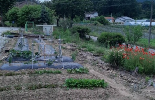 Goesan House | Goesan Byeolbitsanmagi Pension