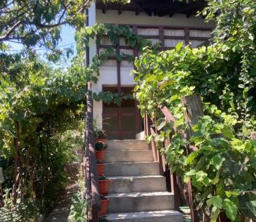 Saturn House | Gogo’s house