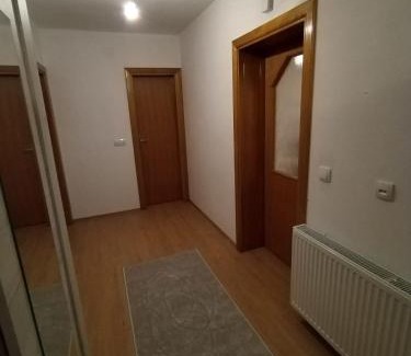 Nozicko House | Gold Home