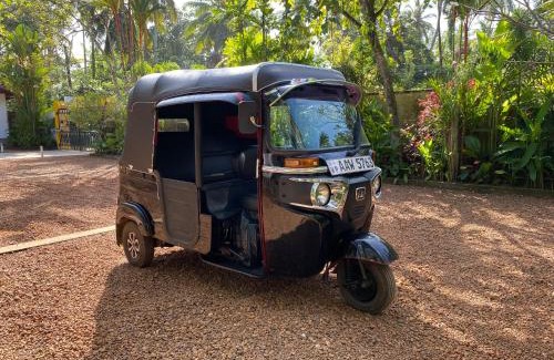 Hettimulla Resort | Golden Peacock Resort PVT