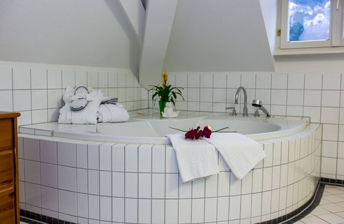 Heidelberg City Centre Hotel | Goldener Falke