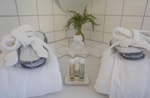 Heidelberg City Centre Hotel | Goldener Falke