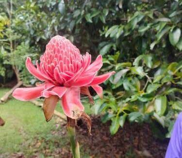 Ko Kood House | Good Time Resort Koh Kood