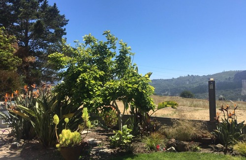 Highlands-Baywood Park House | Gorgeous 4 bd, 3 bath House w/stunning View
