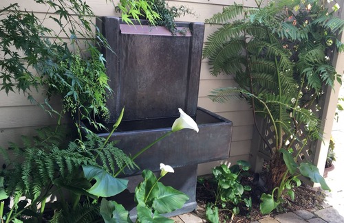 Highlands-Baywood Park House | Gorgeous 4 bd, 3 bath House w/stunning View