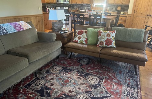 Wedowee Cabin | GORGEOUS LAKE FRONT 3 BEDROOM CABIN ON LAKE WEDOWEE-15 steps to lake! 5 stars!