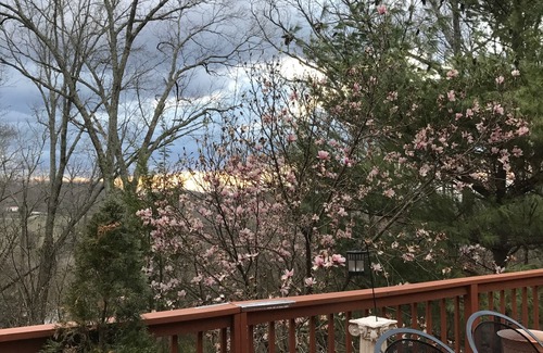 Franklin House | Gorgeous suite With two bedrooms and two baths