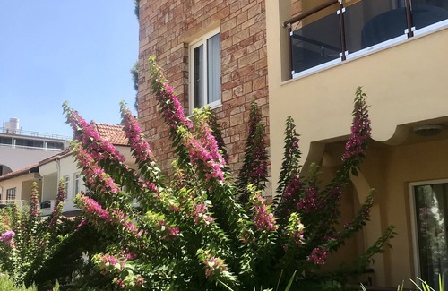 Turunc Apartment | Gozdem Apart 2