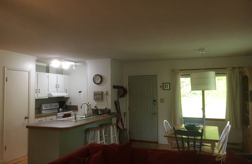 Topton Cabin | Grace Cottage: Cozy. Affordable. On the lake. Perfect for a small family!