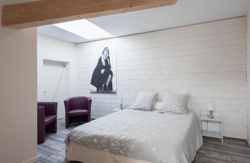 Villefranche-sur-Saone Apartment | Grand duplex au calme en centre-ville