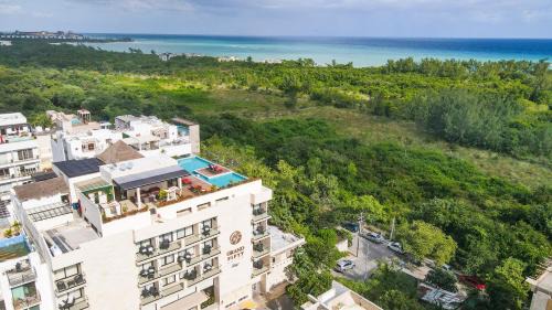 Luis Donaldo Colosio Hotel | Grand Fifty Suites