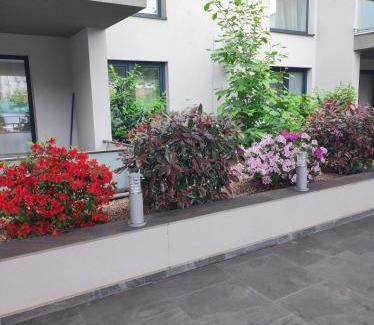 Cluj-Napoca Apartment | grand hill panorama