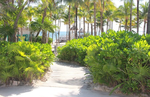 Ejidal Resort | Grand Luxxe Villa - Riviera Maya - Families, Couples, Celebrations, Small Groups