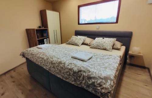 Sklene Teplice House | Grand Spa Holiday Home II