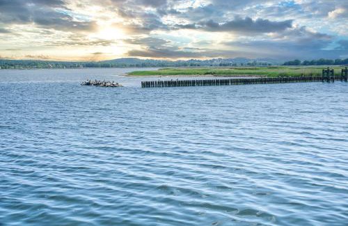 Gross Zicker Apartment | gratis Nutzung vom AHOI Erlebnisbad und Sauna in Sellin - Haus Inselwind FeWo MEERwind