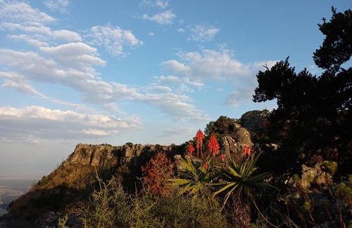 Kaapsehoop House | Grauhaus