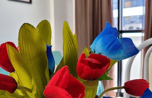 Maceio Apartment | Great Ap in Pajuçara - Maceió