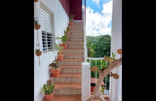 Samana Apartment | Great Palm View - Apartment 3 in Villa Coconut