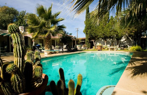 Twentynine Palms Apartment | Great studio apt with beautiful Palm tree motif
