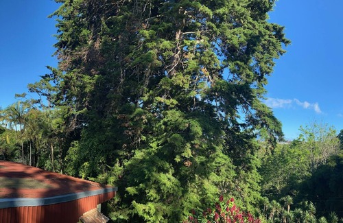 Roble Apartment | Great view of the mountains while in San Jose.