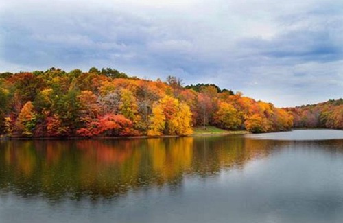 Altamont Apartment | Greeter Falls Lodge Unit 3