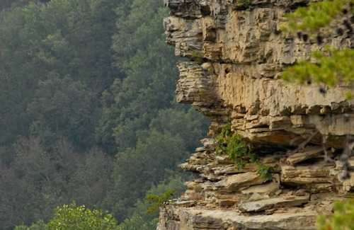 Altamont Apartment | Greeter Falls Lodge Unit 3