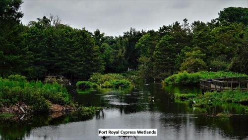 Port Royal House | Gritz & Giggles, Where Southern Charm Meets Belly Laughs