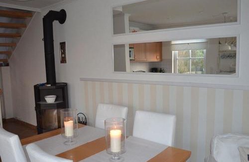 Welt House | Großer Wattläufer